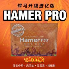 2025ºټǿ桾Hamer Pro һ33װƷԭ